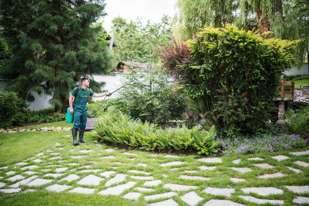 Best Pest Control Treatment  in Kingston, TN
